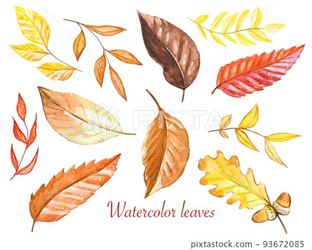 Set of autumn yellow-red leaves watercolor 93672085