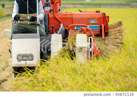 Rice harvesting scenery at the combine 93672116