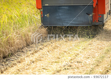 聯合收割機收割水稻的風景 93672117
