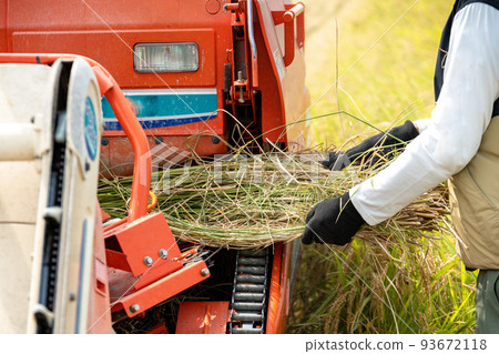 Rice harvesting scenery at the combine 93672118