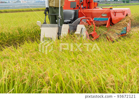 Rice harvesting scenery at the combine 93672121