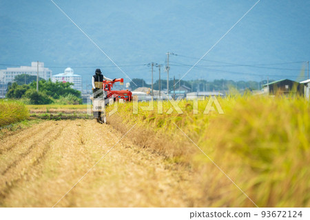 聯合收割機收割水稻的風景 93672124