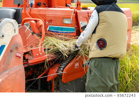 A man wearing air-conditioned clothes harvesting rice A man wearing air-conditioned clothes harvesting rice 93672243