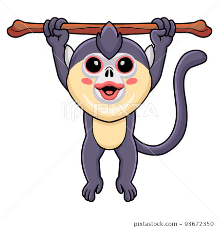 Cute little snub nosed monkey cartoon hanging on tree Cute little snub nosed monkey cartoon hanging on tree 93672350
