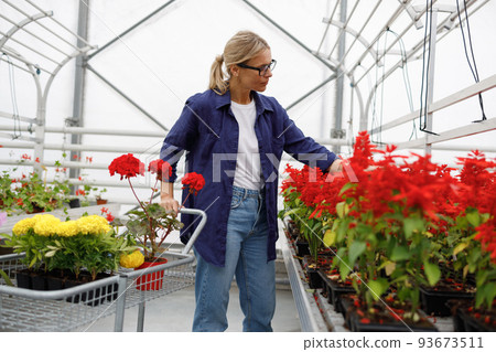Beautiful adult woman with cart chooses potted plants in a greenhouse or garden center 93673511