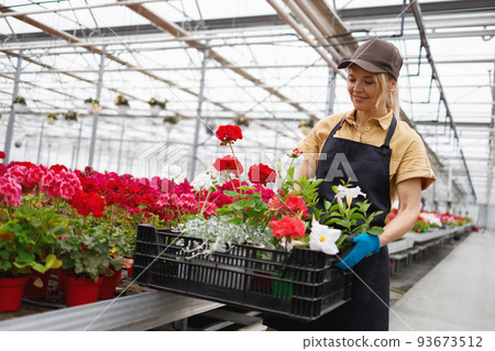 Woman working in a greenhouse with flowers 93673512
