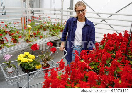 Mature caucasian woman with cart enjoying buying flowers in a greenhouse 93673513