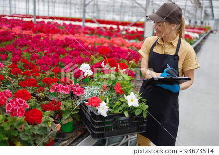 Woman florist with clipboard in a greenhouse with flowers collects an order in a box 93673514