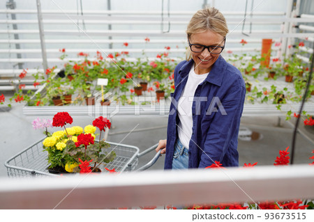 Beautiful mature blonde woman in glasses and blue shirt walking with shopping trolley at greenhouse and choosing flowers 93673515
