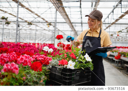 Female florist with clipboard collects needed flowers in box 93673516