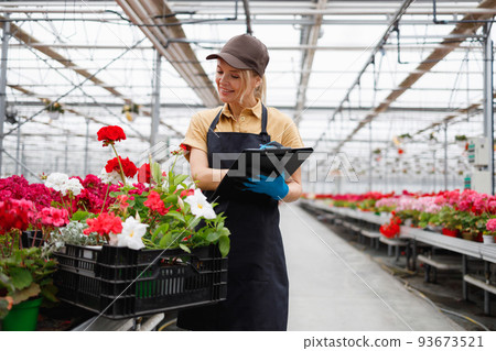 Female florist with clipboard keeps track of produce in greenhouse 93673521