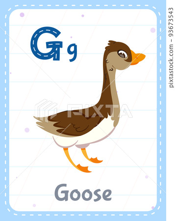 Alphabet printable flashcard with letter G and goose animal Alphabet printable flashcard with letter G and goose animal 93673543