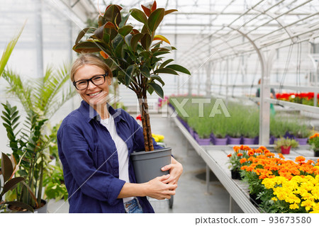 Portrait of a woman with indoor plants in her hands in a greenhouse 93673580