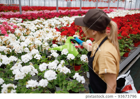 Woman in greenhouse with green watering can 93673796