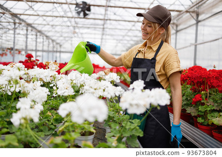 Cheerful woman nursery worker watering flowers from a watering can 93673804
