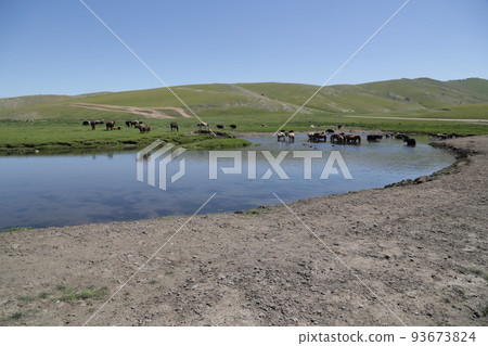 in the land of mongolia the nature 93673824