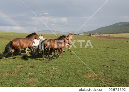 in the land of mongolia the nature 93673892