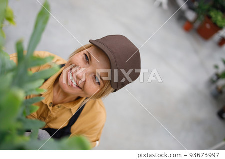 Garden center worker examining a green plant 93673997