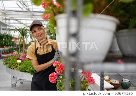 Pretty woman moving cart with potted plants in a flower nursery Pretty woman moving cart with potted plants in a flower nursery 93674180