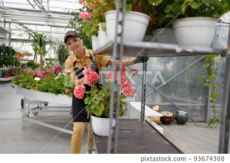 Woman pushing cart with flowers in a nursery 93674308