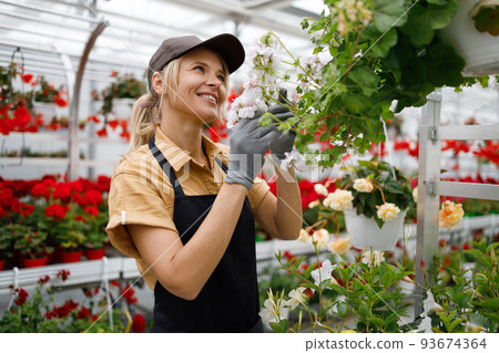 Joyful woman florist watching flowers in a greenhouse Joyful woman florist watching flowers in a greenhouse 93674364