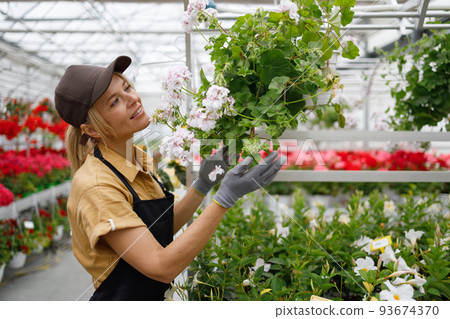 Pretty middle-aged woman florist carefully examines flowers in a greenhouse 93674370