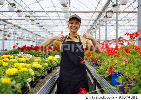 Happy female florist with the thumbs up in the flower greenhouse 93674381