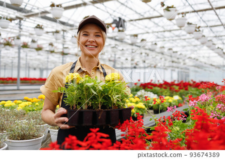 Female florist greenhouse worker holding flowers 93674389