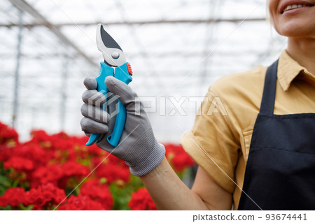Close-up view of a female florist's hand with a pruner in hand at the a flower greenhouse 93674441