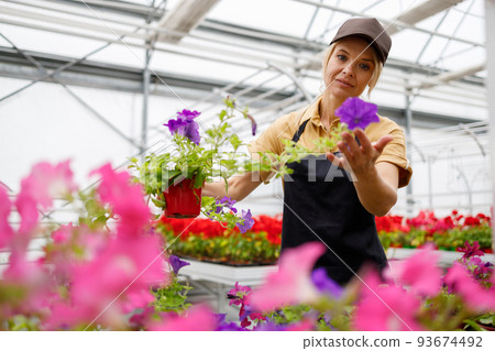 Happy woman taking care of flowers in greenhouse Happy woman taking care of flowers in greenhouse 93674492