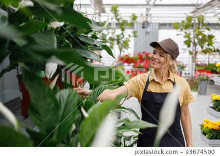 Pretty female flower shop worker near spathiphyllum flowers 93674500