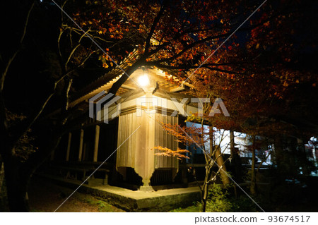 Bungotakada City Choanji Temple Illumination Bungotakada City Choanji Temple Illumination 93674517