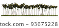 3ds rendering image of front view of palm trees on grasses field. 93675228