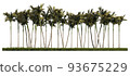 3ds rendering image of front view of palm trees on grasses field. 93675229