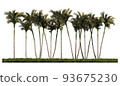 3ds rendering image of front view of palm trees on grasses field. 93675230