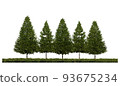 3ds rendering image of front view of pine trees on grasses field 93675234