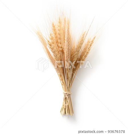 Bunch of wheat ears isolated on white. 93676378