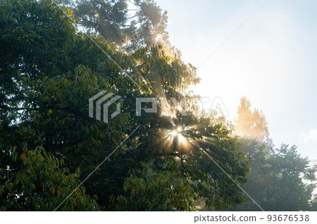 [Fog Material] Ao Oni Village in Autumn Morning [Nagano Prefecture] 93676538