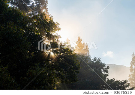 [Fog Material] Ao Oni Village in Autumn Morning [Nagano Prefecture] 93676539