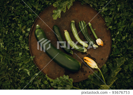 Zucchini, different in color and shape, on dish against the background of green grass Zucchini, different in color and shape, on dish against the background of green grass 93676753