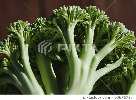 Broccoli inflorescences very close-up Green vegetable, natural background Broccoli inflorescences very close-up Green vegetable, natural background 93676783