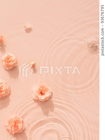 Summer background with pink roses in water with drops. Minimal natural abstract backdrop Summer background with pink roses in water with drops. Minimal natural abstract backdrop 93676795