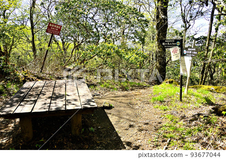 丹澤的高總邊境山脊，新鮮的綠色植物中的 Morokubo Sawa-no-kashira 峰 93677044