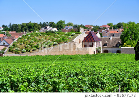 Burgundy, France. The vineyards of Nuits Saint-Georges. Taken on August 9, 2022. 93677178