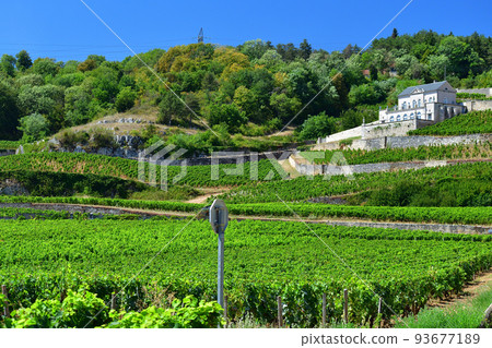 Burgundy, France. The vineyards of Nuits Saint-Georges. Taken on August 9, 2022. 93677189