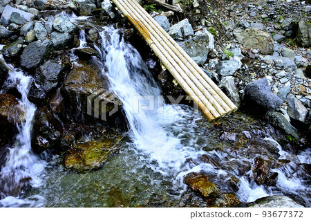 The collapsed boardwalk of the Shiroishizawa course on Nishitanzawa's Mt. The collapsed boardwalk of the Shiroishizawa course on Nishitanzawa's Mt. 93677372