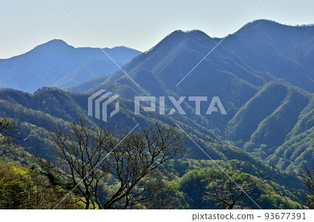 丹澤的水松澤之楣,在新鮮的綠地中,俯瞰丹澤主山脊的群山 丹澤的水松澤之楣,在新鮮的綠地中,俯瞰丹澤主山脊的群山 93677391