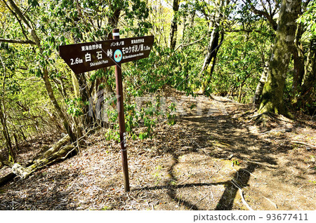 丹澤的加索邊境山脊Pankinokashira山頂 93677411