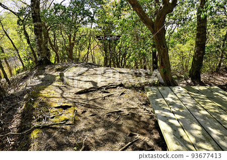 丹澤的加索邊境山脊Pankinokashira山頂 丹澤的加索邊境山脊Pankinokashira山頂 93677413