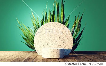 Snake plant with white stone podium - 3D Snake plant with white stone podium - 3D 93677501